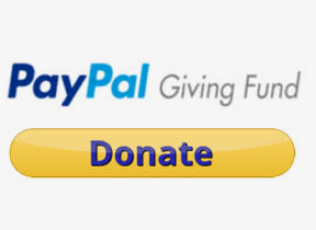 PayPalGivingFund logo